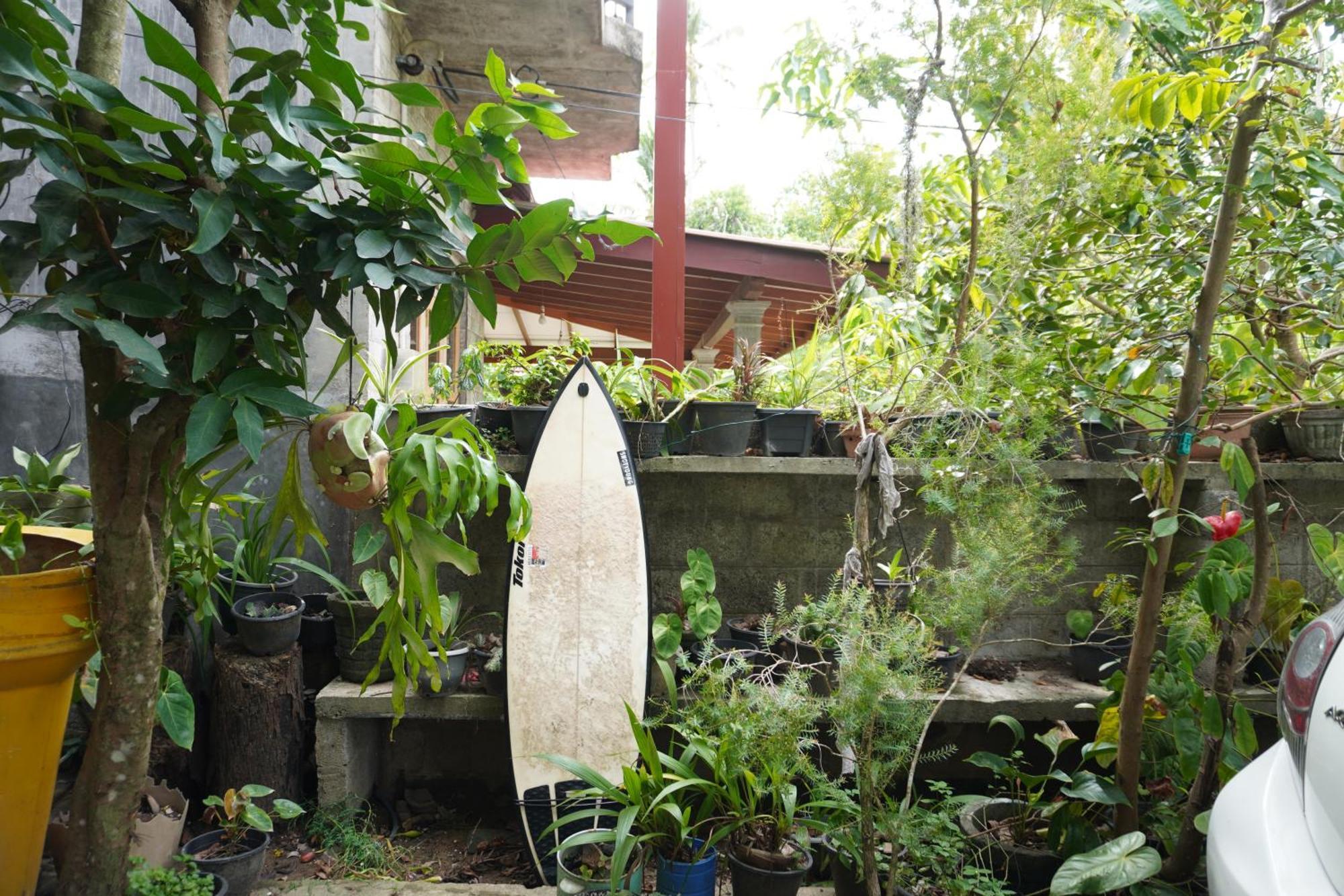 Passionfruit Homestay Matara Eksteriør bilde